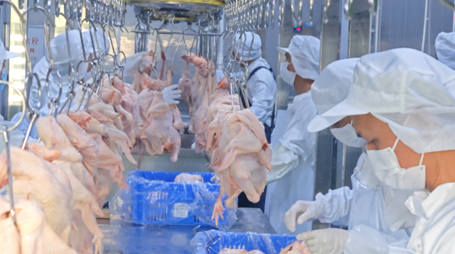 图3 广弘信宜怀乡鸡熟食加工车间