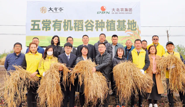 大有谷五常有机稻谷种植基地。