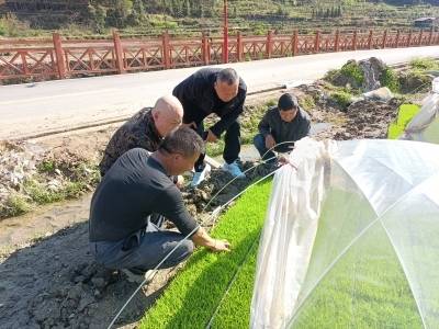 科技赋能春耕忙！连南农技“轻骑兵”护航粮食生产开好局