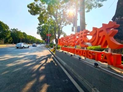 南方观察｜近悦远来，“百千万工程”唤醒沙田