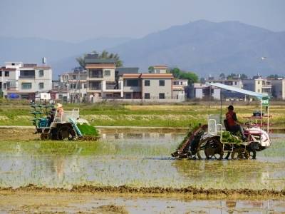 巡田机器狗、植保无人机、AI桃管家……河源春耕科技感拉满！