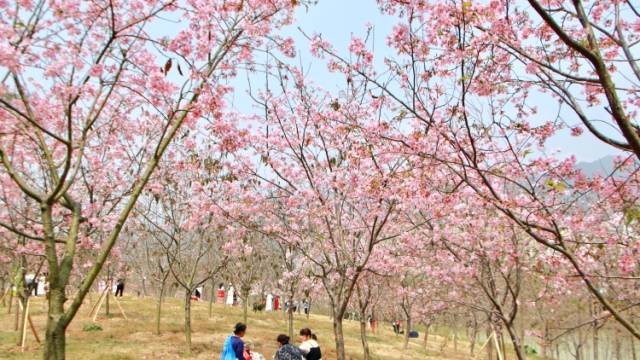 周末广东大部晴朗持续