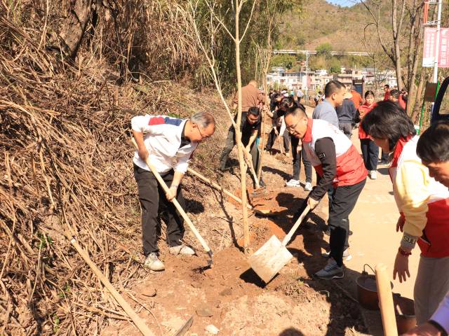 乡贤返乡植绿。 