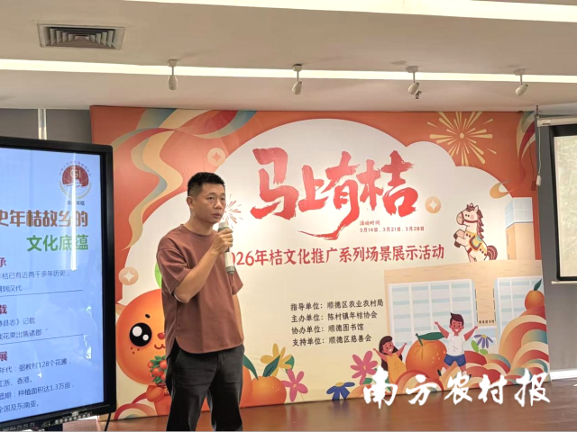 陈村镇年桔协会梁钜东副会长分享年桔种植故事