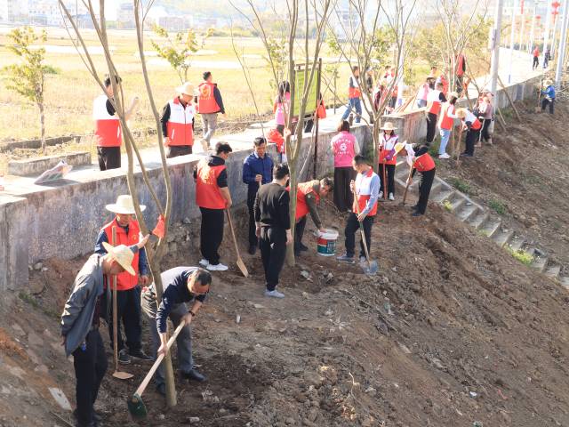 上灯添绿，全民行动。  