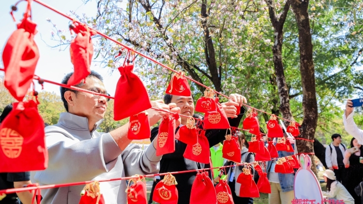 我在樱花下为畜牧产业许个愿｜樱花下·广货行