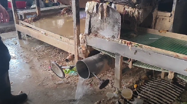 暗访画面曝光！塑封餐具用漂白粉加硫酸清洗