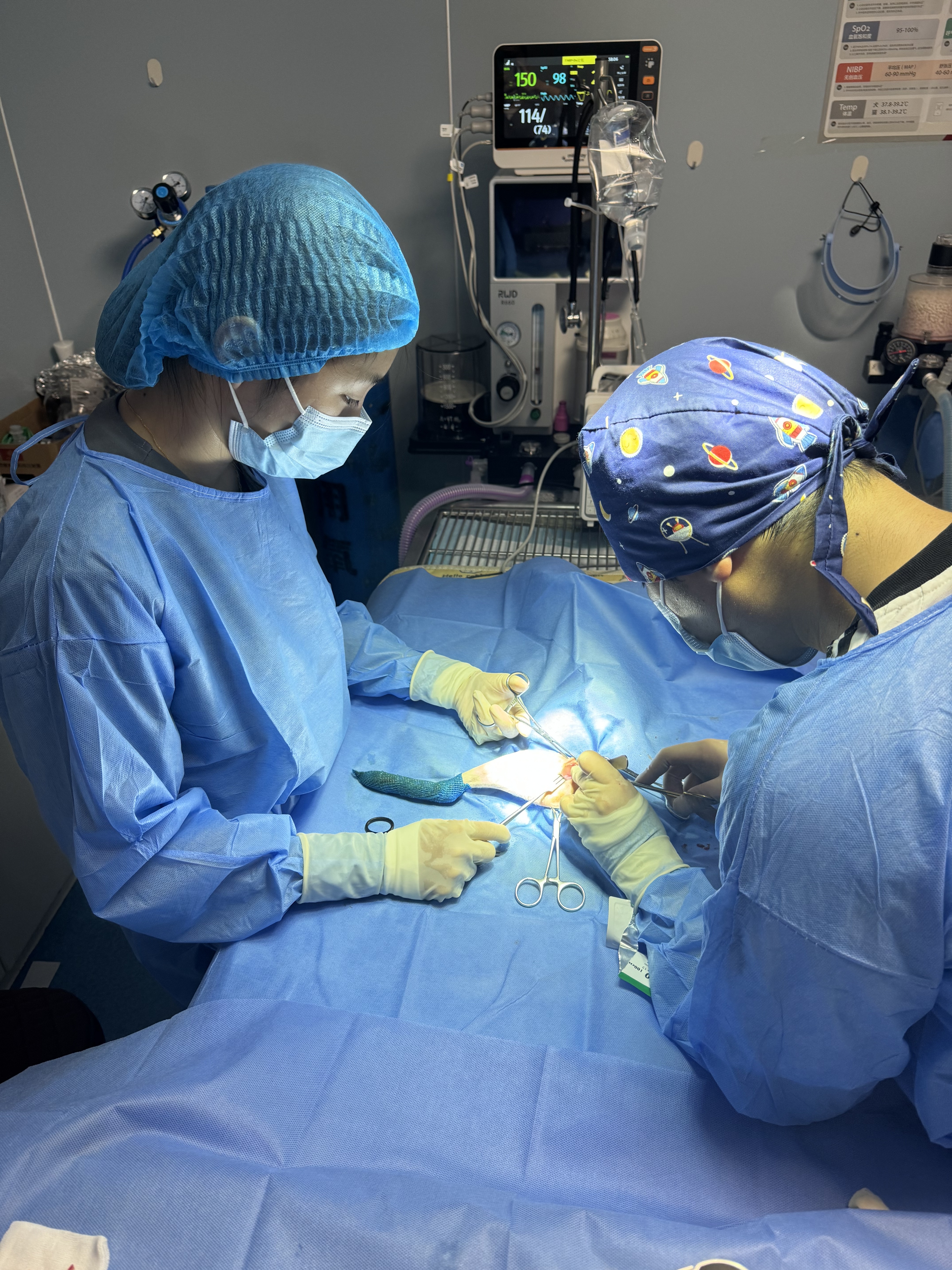    南方+ 廖钰娴 拍摄