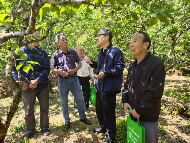 南方农村报 徐建杭 绘图