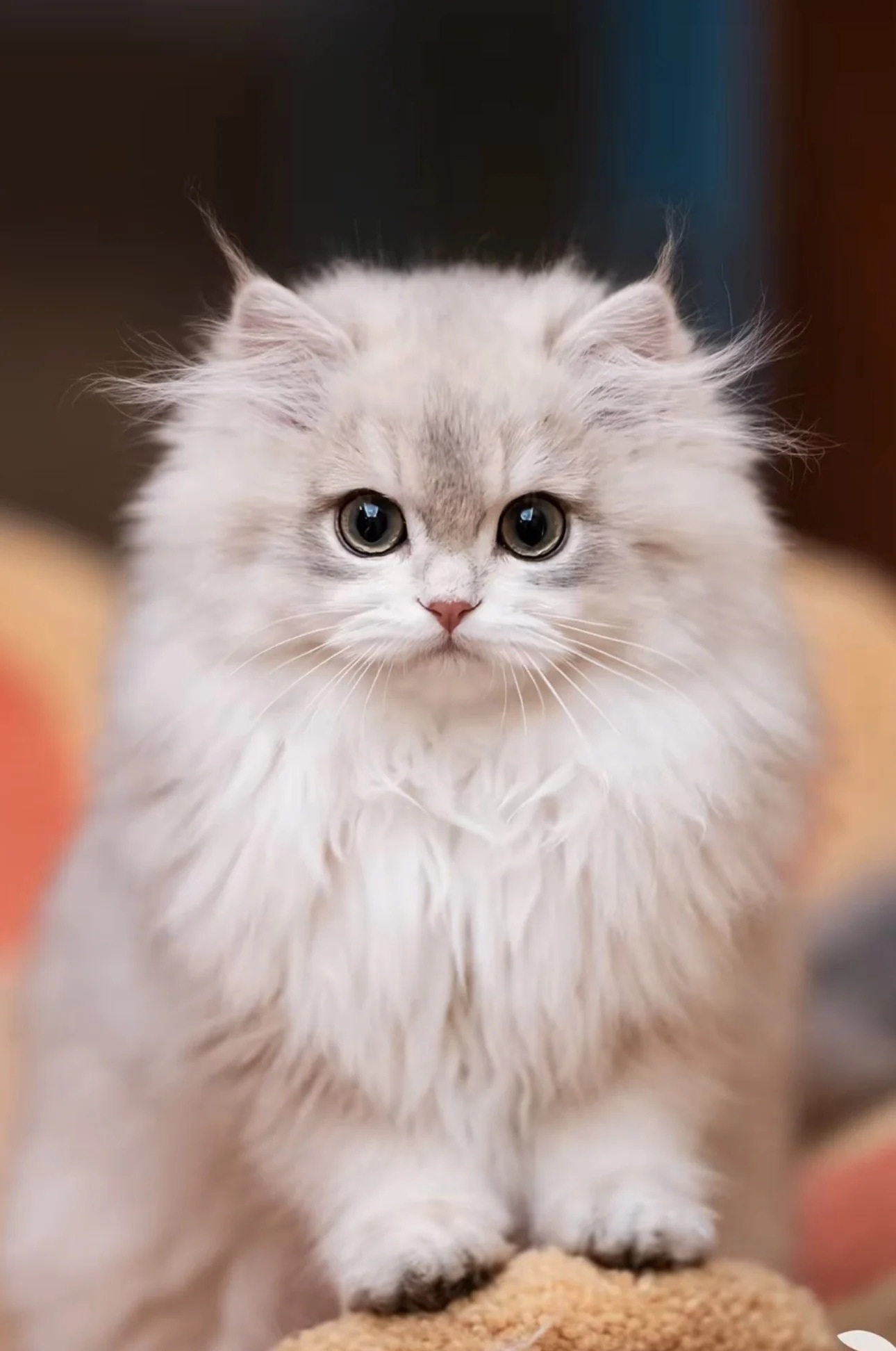    南方+ 廖钰娴 拍摄