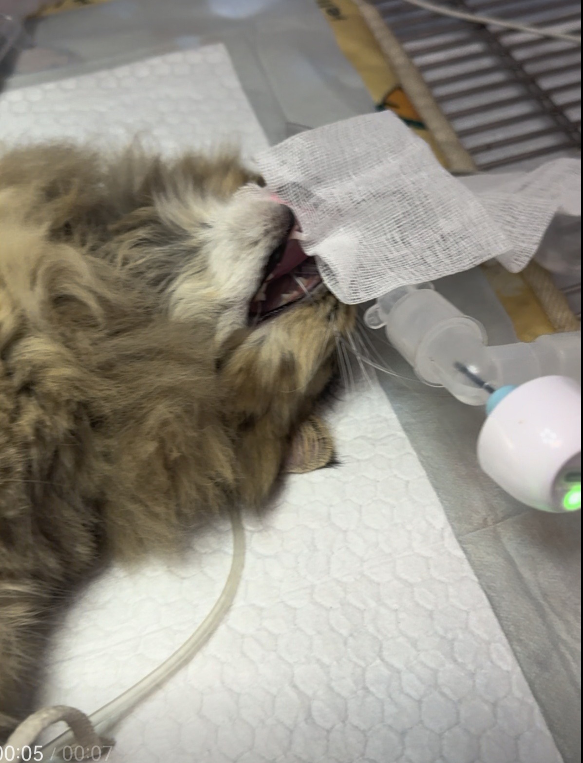    南方+ 廖钰娴 拍摄