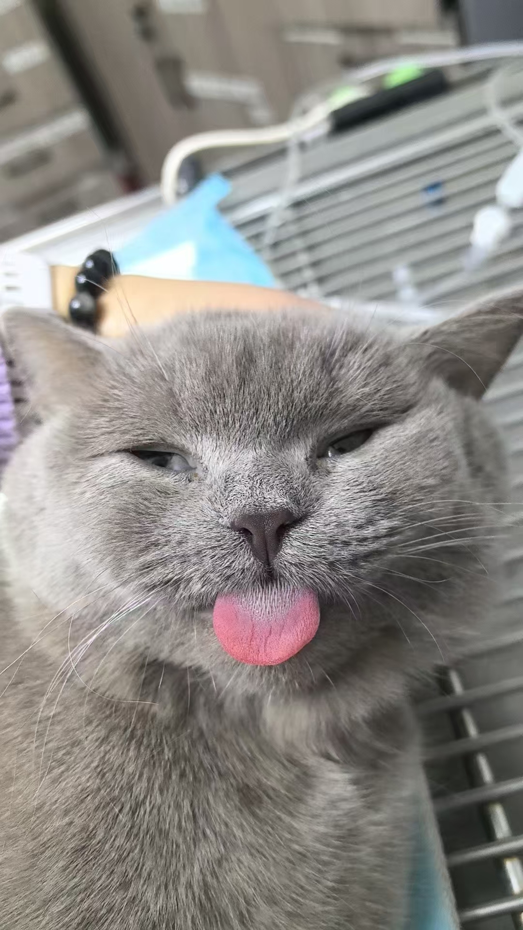    南方+ 廖钰娴 拍摄