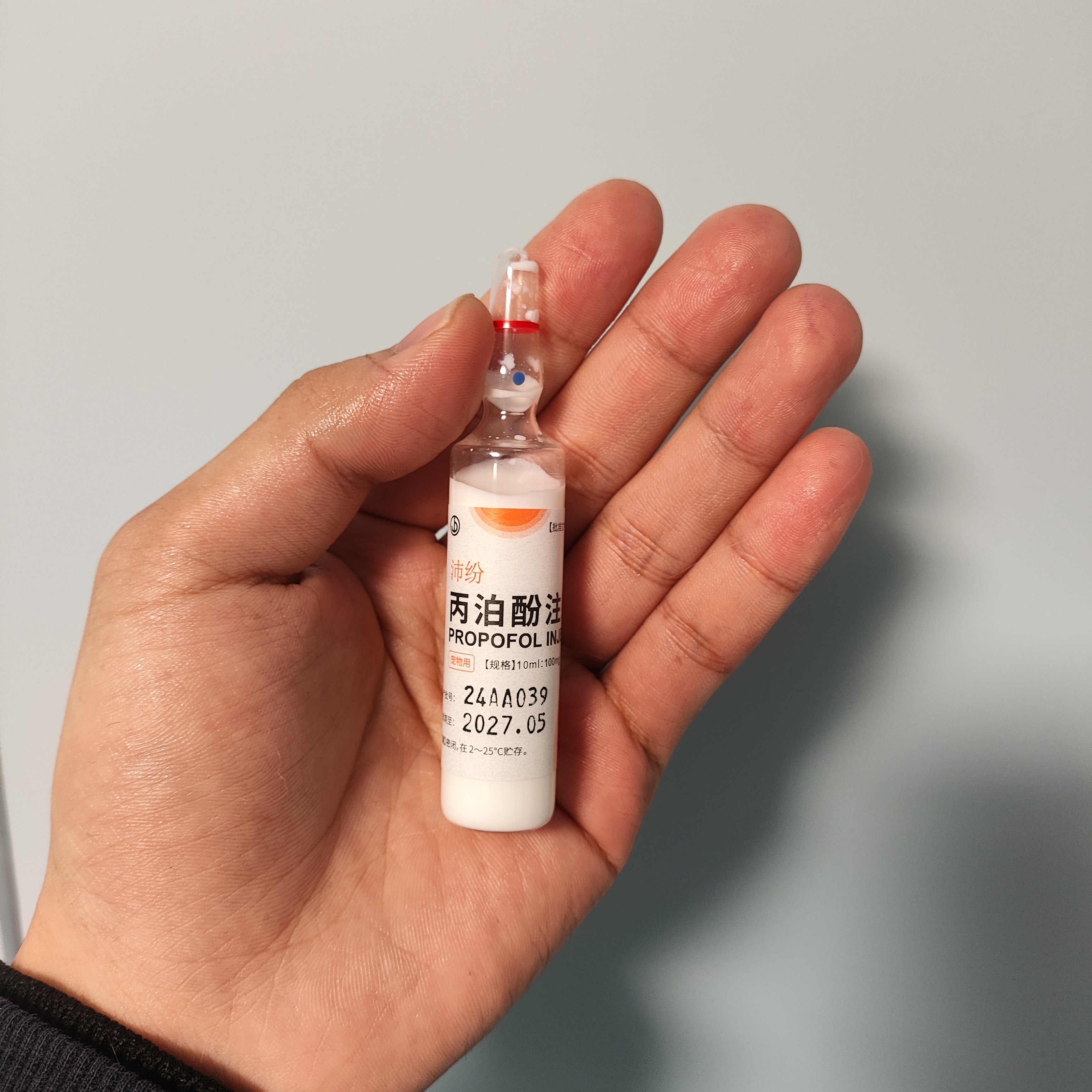    南方+ 廖钰娴 拍摄