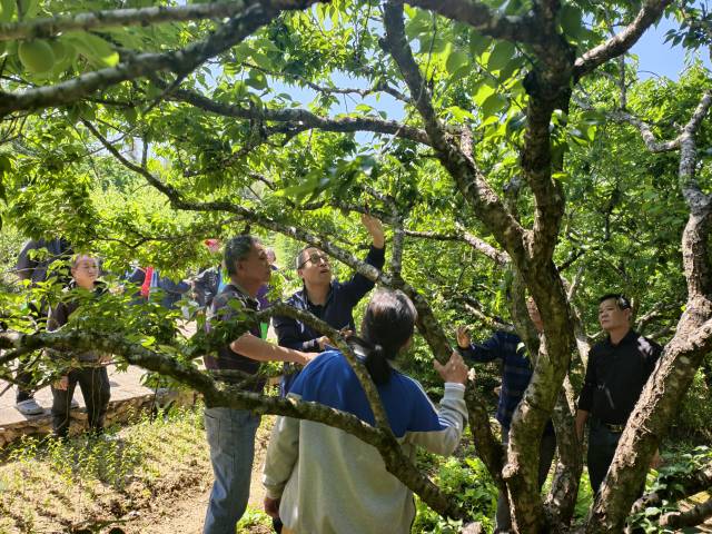 南方农村报 徐建杭 绘图