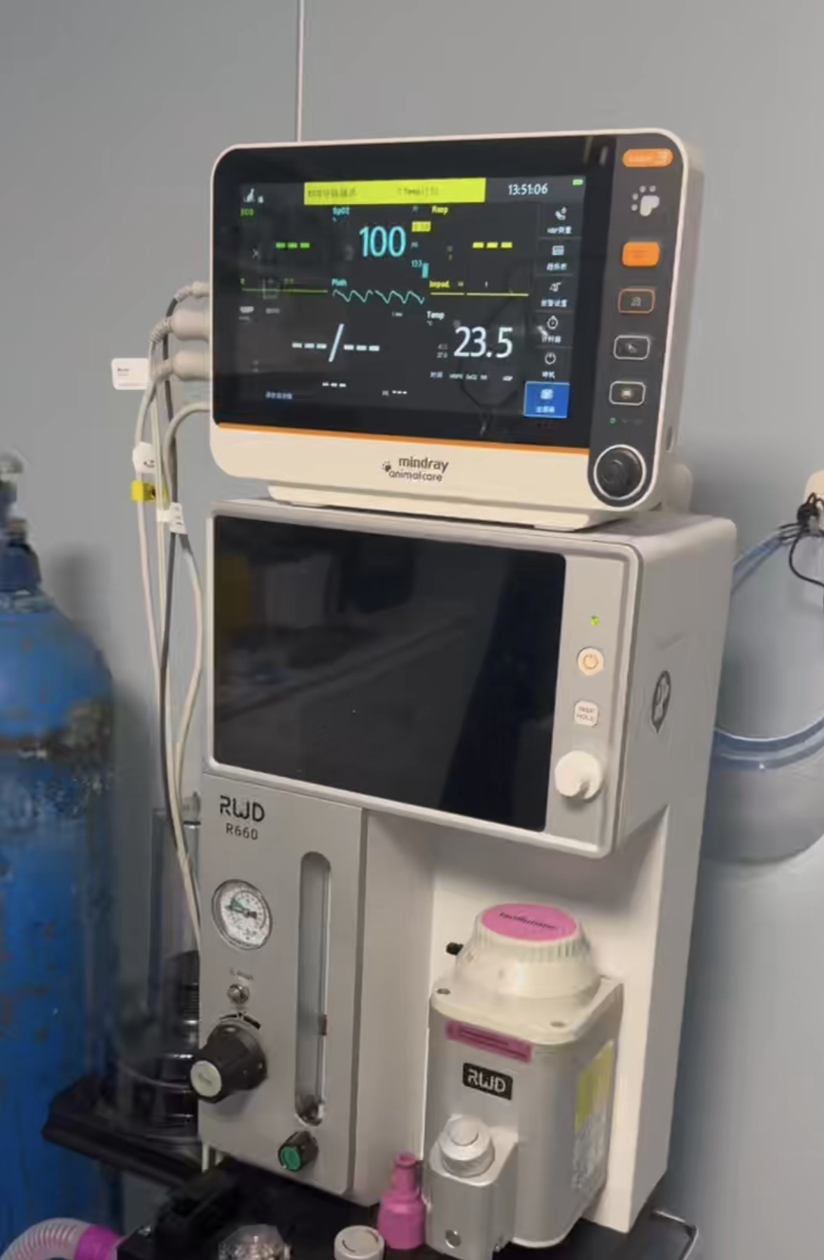    南方+ 廖钰娴 拍摄