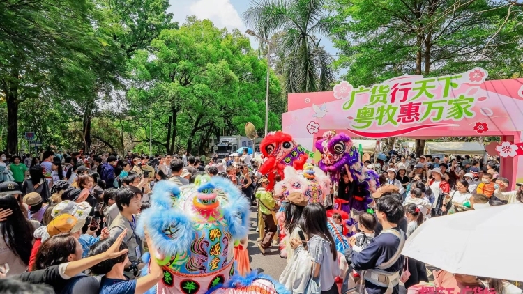 樱花树下办集市：一所高校与一个产业的生生不息| 樱花下•广货行
