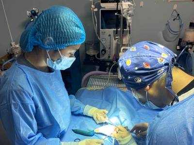 网红猫“宽宽”因医疗事故去世， 惠州宠物看病安全吗？｜3·15