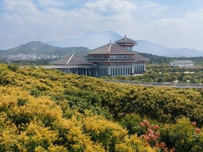 服务区嵌进荔博园，茂名“后花园”正生长 | 荔枝花开看柏桥①