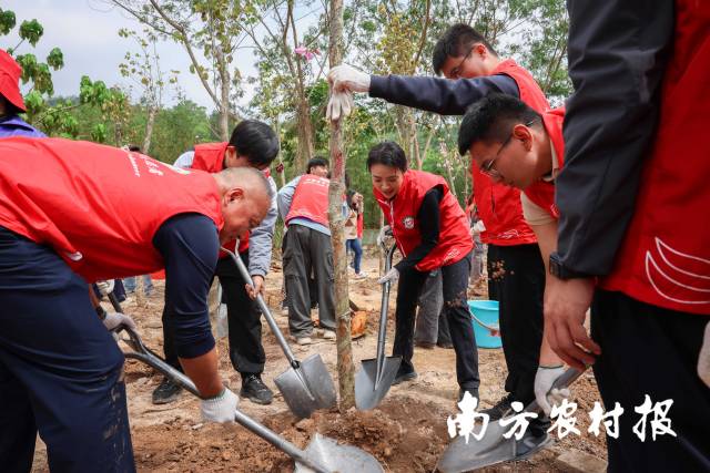 珠海市香洲区2026年“珠港澳青年林”植树活动在香山驿站举行。