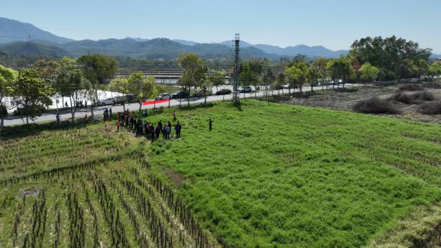 南方农村报 徐建杭 绘图