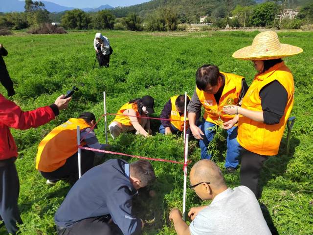 南方农村报 徐建杭 绘图
