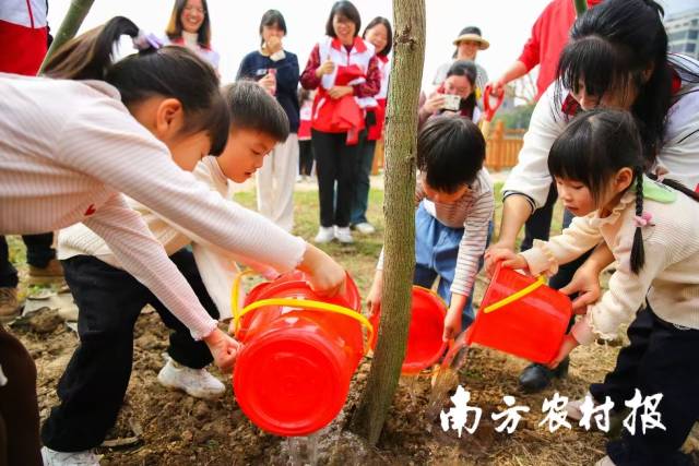 团省委结合学雷锋志愿服务主题开展青年亲子植树活动，让树木与青少年共成长。