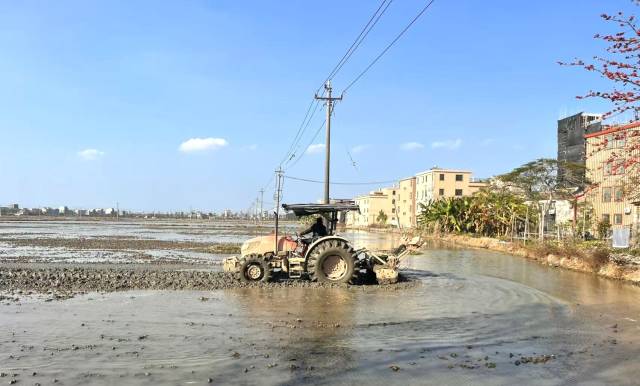 机械化作业大幅提升插秧效率。图为潮阳关埠镇上仓村春耕备耕。  