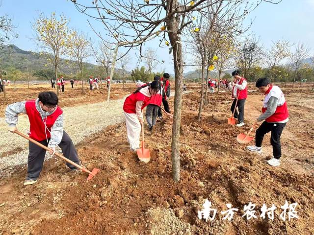 韶关共青团2026年“绿美广东 青年先行”共植青年林活动在浈江区新邵镇水口未来公园举行。