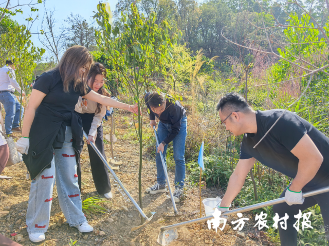 2026年“绿美广东 青年先行”青少年植绿护绿志愿行动在从化荔枝文化博览园举行。