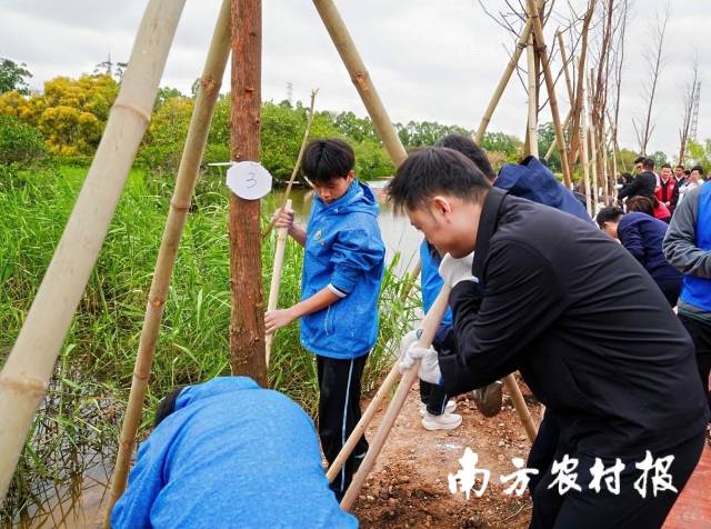 “传承红色基因 共优红树生态”南沙区青少年红树种植活动在万顷沙滨海绿道湿地公园举行。