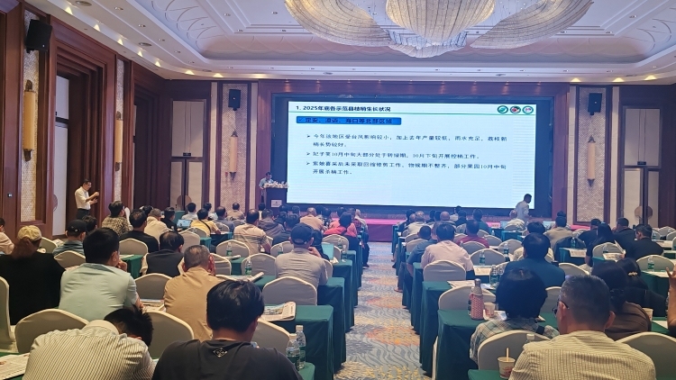 技术赋能提品质，海南荔枝锚定绿色高质量发展
