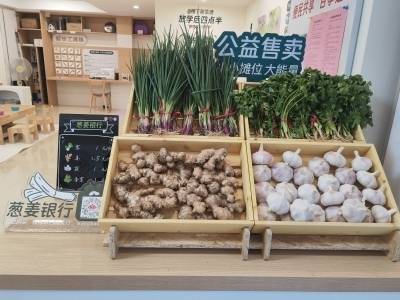 葱姜也能存银行？海珠区“南华西老友空间”唤醒“沉睡”角落