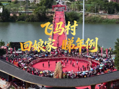 飞马武术长精神，金花归宁润新风｜年例·年味⑥