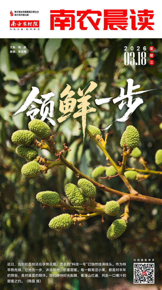 南方农村报 李嘉镓 制图