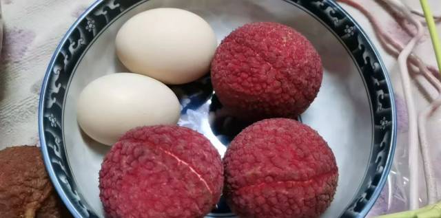 比鸡蛋还大的“巨无霸”中山红荔枝。