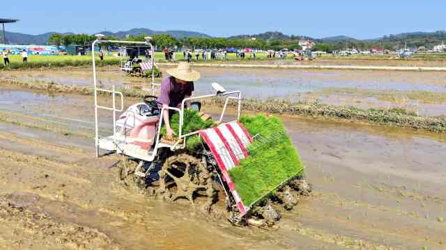 机械插秧作业中