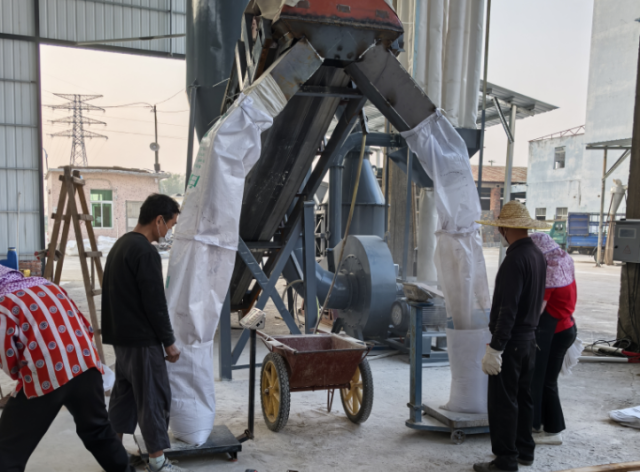 蚝壳加工作业现场