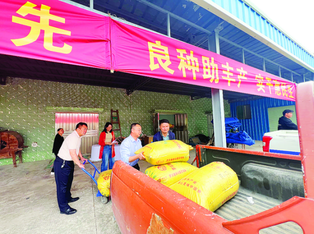 惠阳免费向农户发放优质稻种。 惠州日报记者黄尉宏 摄
