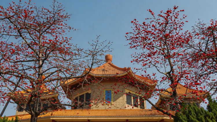 在中山城市几何中心，“花式”加载春日氛围感