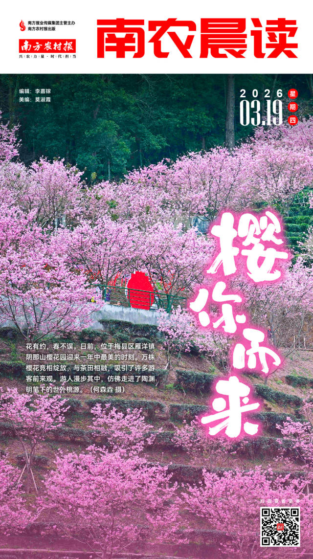 南方农村报 巢芮 制图