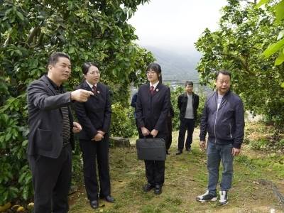 梅县区检察院：深入田间地头 法治护航金柚产业发展