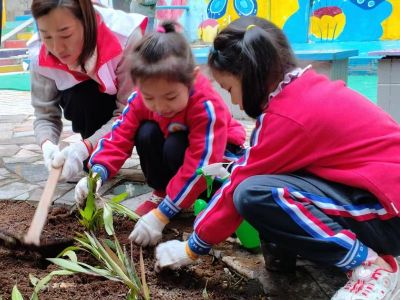 科苑社区联合辖区单位开展植绿护绿志愿服务活动