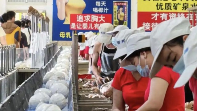 又见“辣眼”标语，椰树集团因低俗广告被约谈｜公司舆情哨