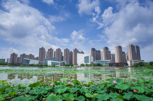 三水文化活动中心。