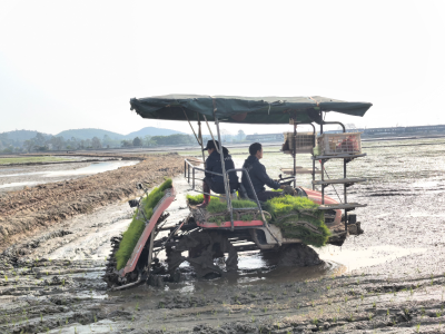 高明春耕：田野上的“智”变与“新”生