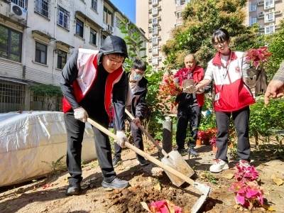 植绿添新景，黄花岗云鹤社区开展共建绿色家园植树活动