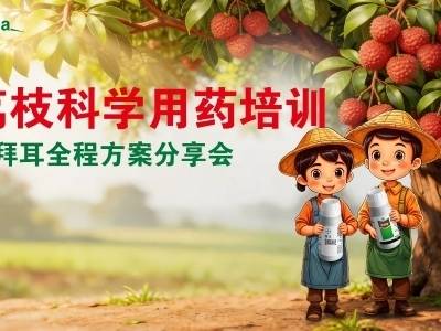 荔枝花果期栽培管理及科学安全用药技术培训