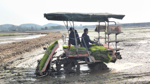 高明春耕：田野上的“智”变与“新”生