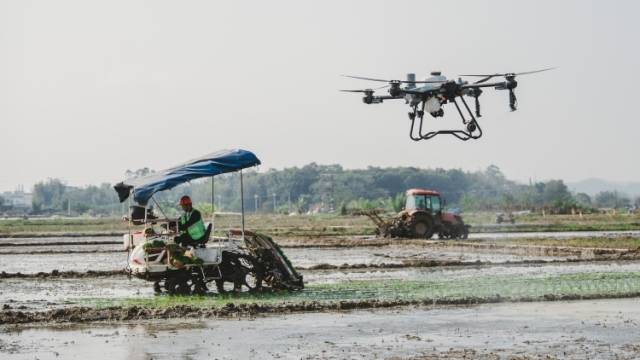 惠州拉开春耕大幕，今年计划春种148.66万亩