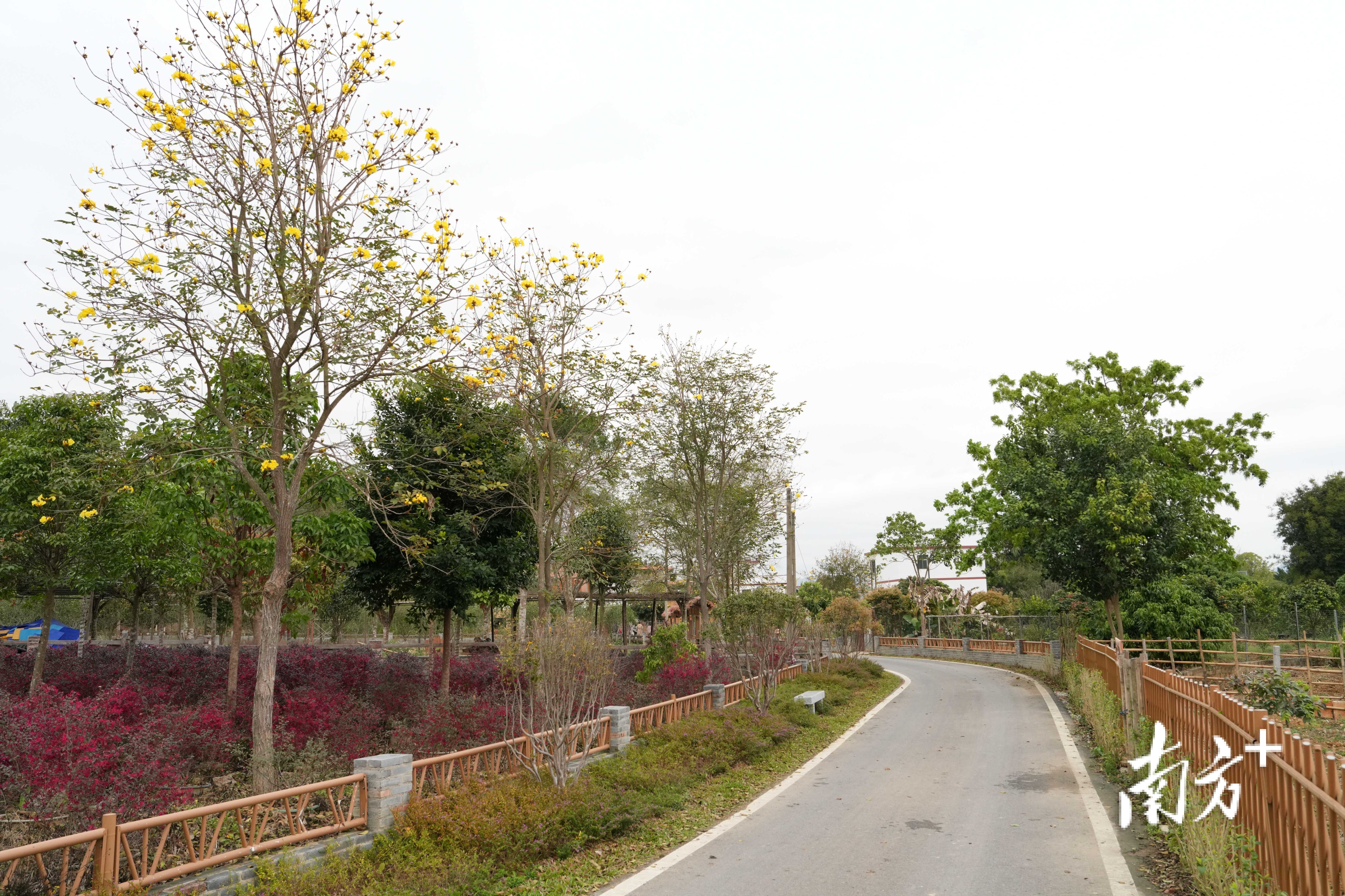    南方+ 梁维春 拍摄